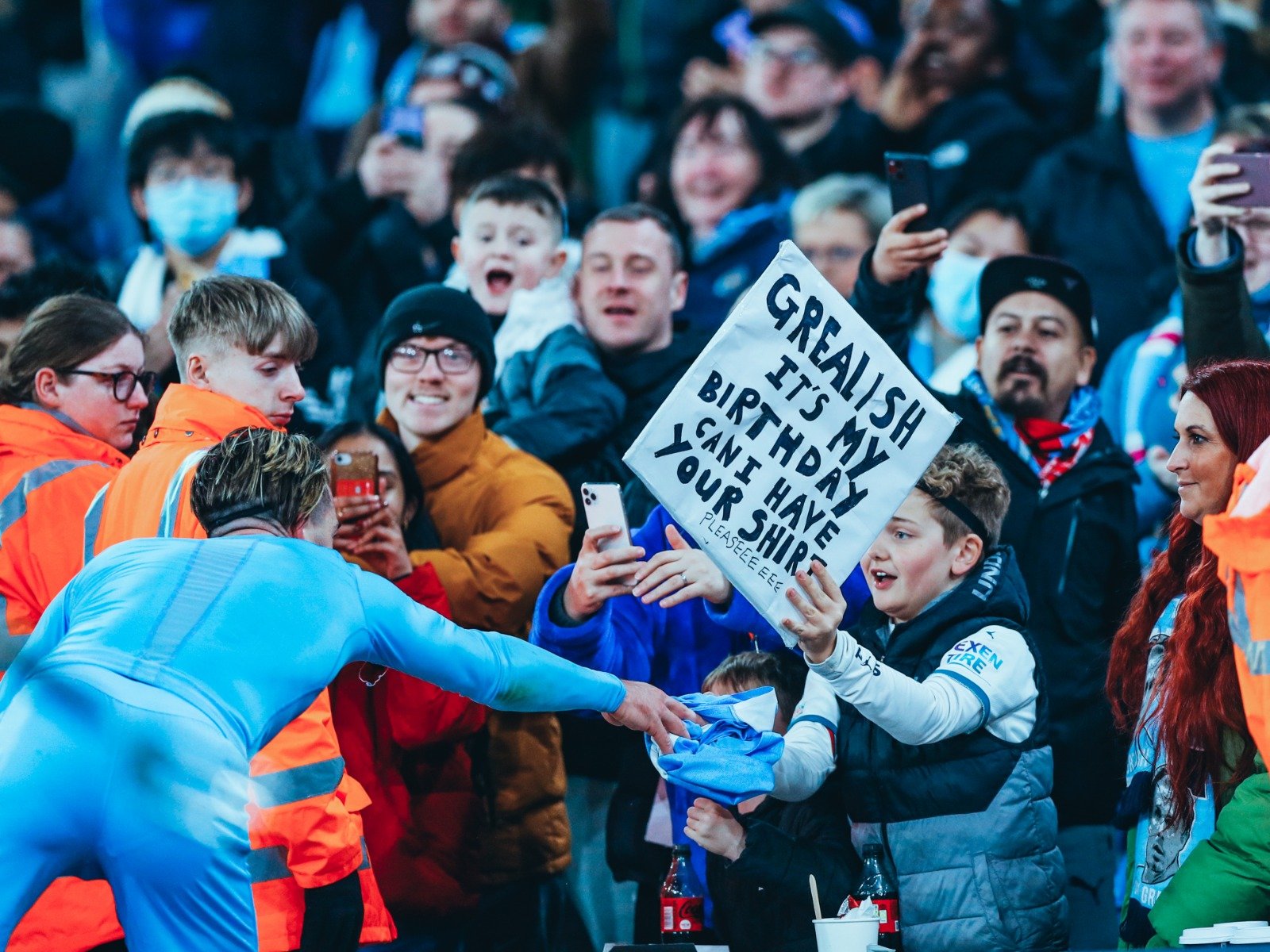 羽翼丰满 羽翼丰满