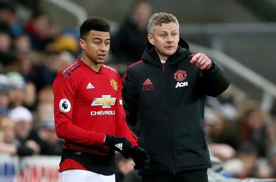 功案例已多 功案例已多